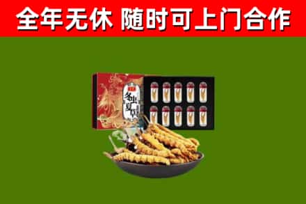 汨罗回收冬虫夏草价格